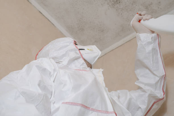 Best Residential Mold Removal  in Jenkins, KY